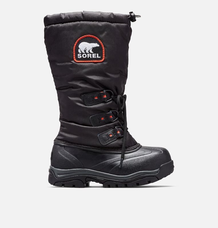 Womens Snow Boots Black - Sorel lion™ XT Low - 483-FTIVYA